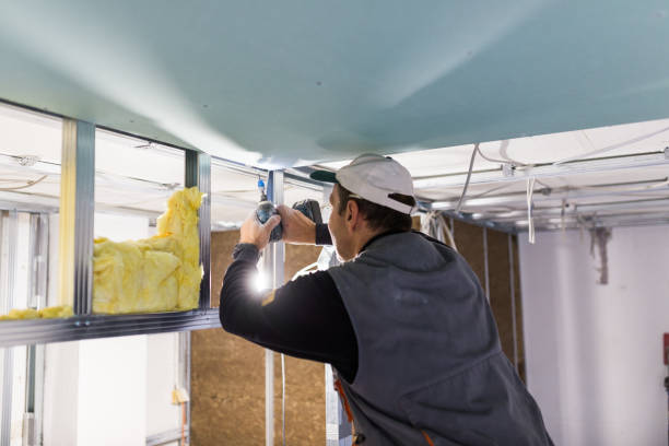 Best Professional Insulation Contractor  in Wayland, IA