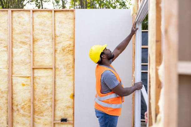 Best Local Insulation Services  in Wayland, IA