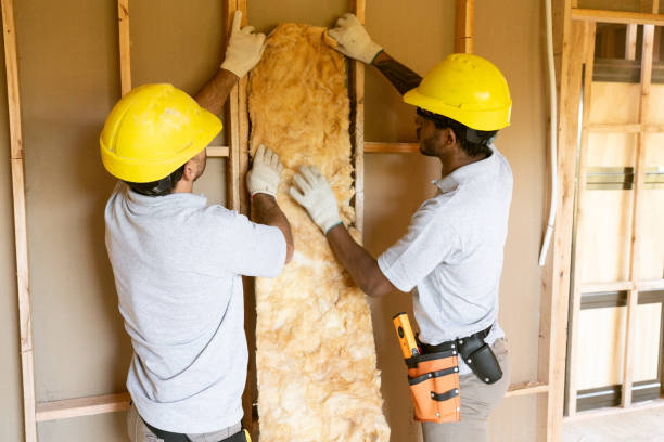 Best Spray Foam Insulation  in Wayland, IA