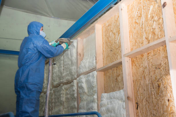 Garage Insulation Installation in Wayland, IA