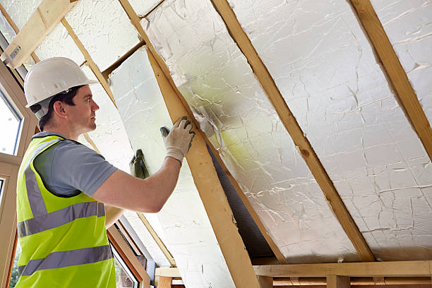 Best Insulation Repair Services  in Wayland, IA